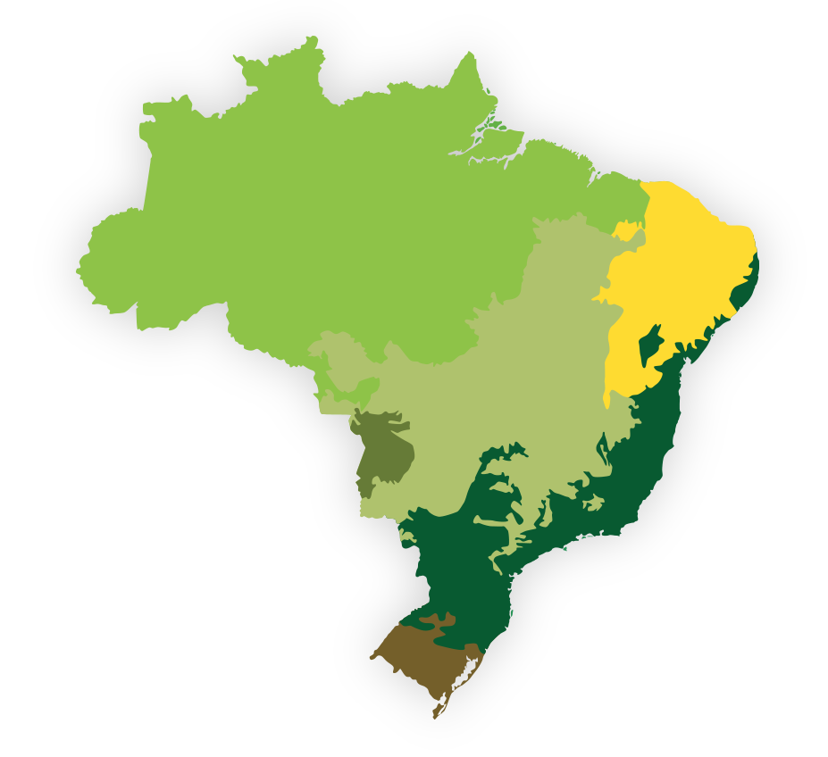 Mapa do Brasil Mapa do Brasil